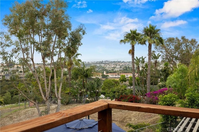 24301 Philemon Dr, Dana Point, CA 92629 - photo 53