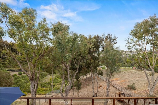 24301 Philemon Dr, Dana Point, CA 92629 - photo 52