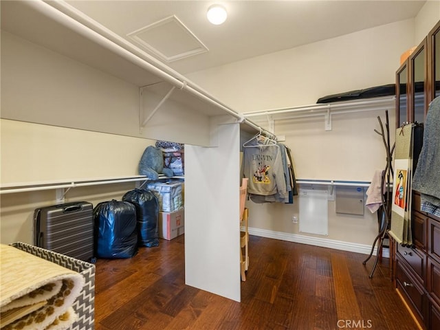 7219 Evening Star Rose Ct, Oak Hills, CA 92344 - walk in closet with attic access and wood finished floors
