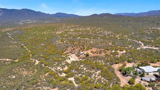 54075 Glenda Ln, Anza, CA 92539 - photo 8