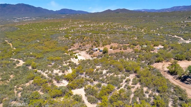 54075 Glenda Ln, Anza, CA 92539 - photo 7