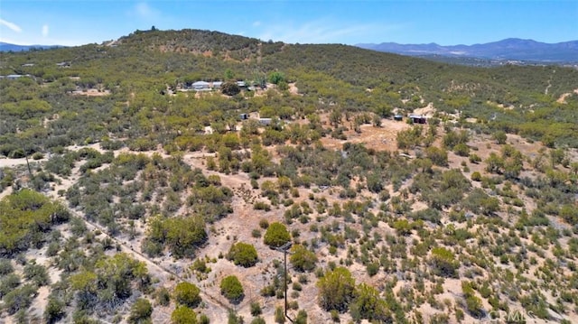 54075 Glenda Ln, Anza, CA 92539 - photo 3
