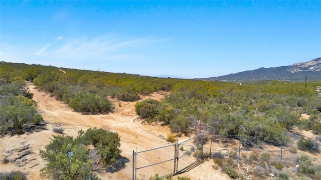 54075 Glenda Ln, Anza, CA 92539 - photo 11