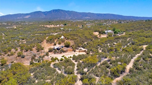 54075 Glenda Ln, Anza, CA 92539 - photo 5