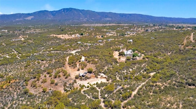 54075 Glenda Ln, Anza, CA 92539 - photo 6