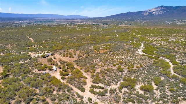54075 Glenda Ln, Anza, CA 92539 - photo 9