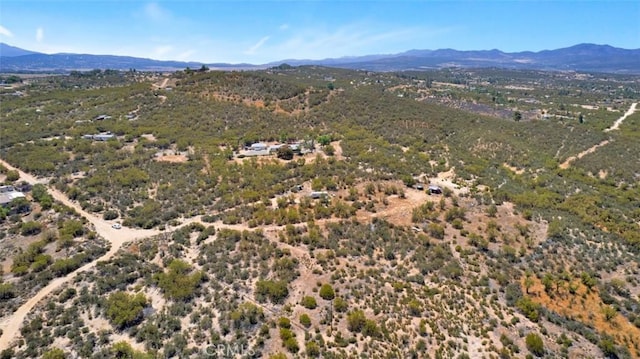 54075 Glenda Ln, Anza, CA 92539 - photo 4