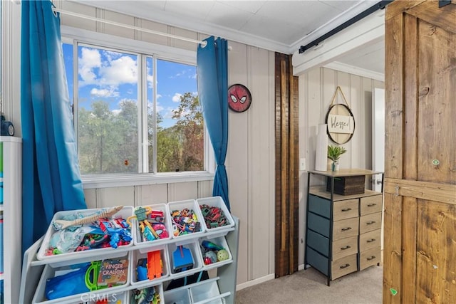 29289 Lake View Dr, Cedar Glen, CA 92321 - bedroom with carpet floors, multiple windows, and crown molding
