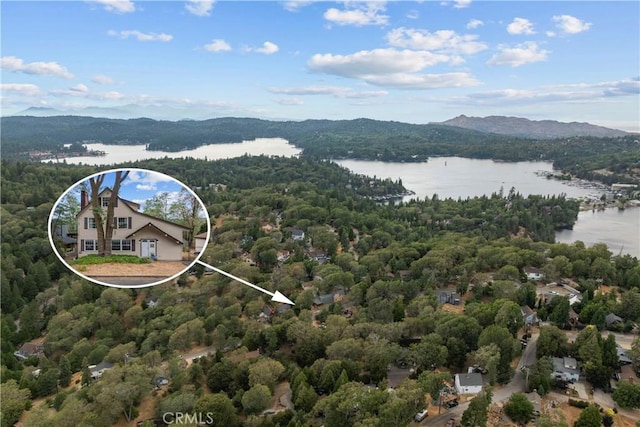 29289 Lake View Dr, Cedar Glen, CA 92321 - bird's eye view of a water and mountain view and a forest