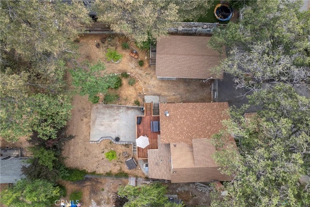 29289 Lake View Dr, Cedar Glen, CA 92321 - aerial view of property and surrounding area