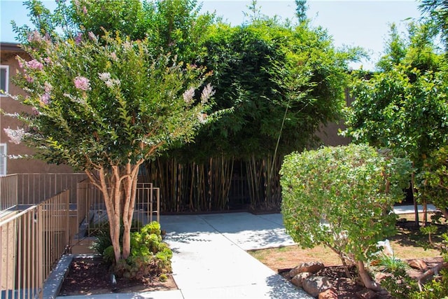 4727 W 147th St Unit 251, Lawndale, CA 90260 - view of yard