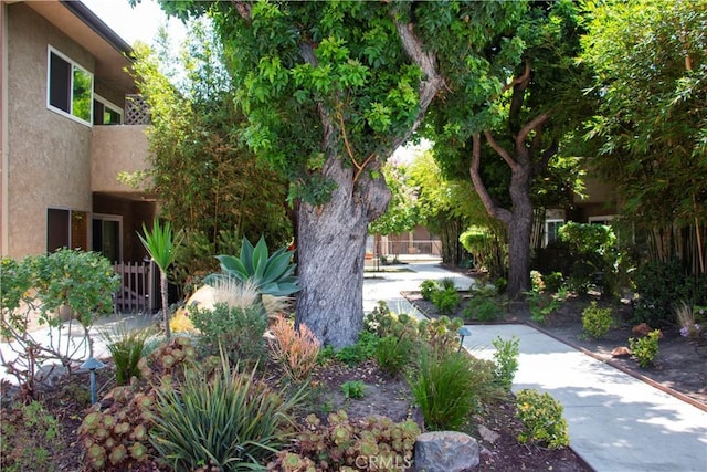 4727 W 147th St Unit 251, Lawndale, CA 90260 - view of yard