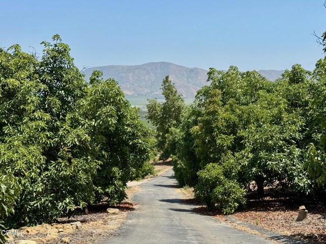 0 Hall Rd, Santa Paula, CA 93060 - photo 16