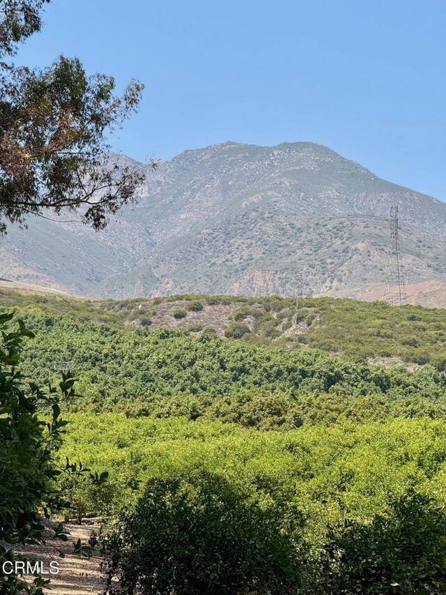 0 Hall Rd, Santa Paula, CA 93060 - photo 25