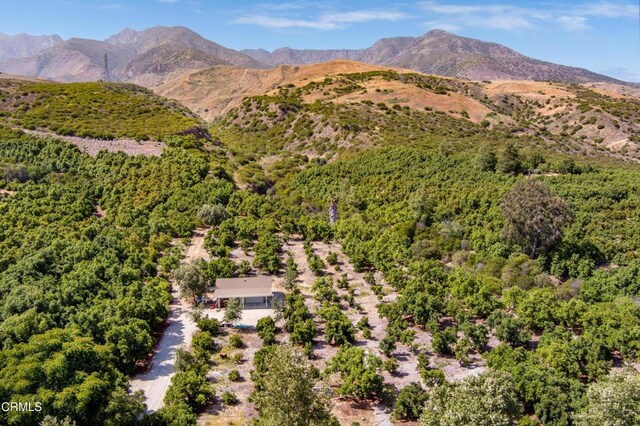 0 Hall Rd, Santa Paula, CA 93060 - photo 7