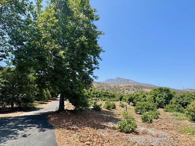 0 Hall Rd, Santa Paula, CA 93060 - photo 12