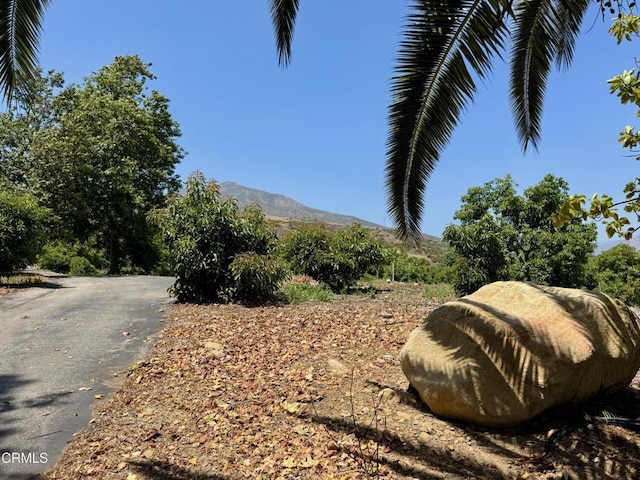 0 Hall Rd, Santa Paula, CA 93060 - photo 22