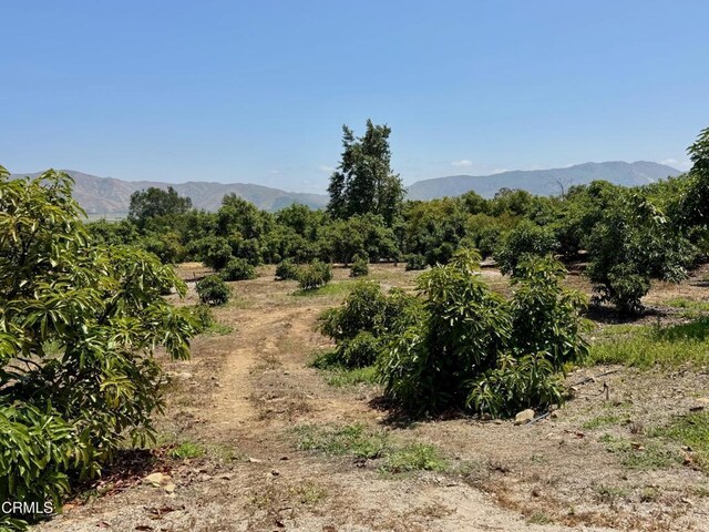 0 Hall Rd, Santa Paula, CA 93060 - photo 23