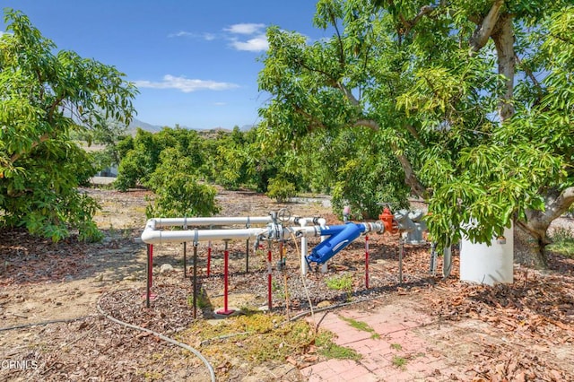 0 Hall Rd, Santa Paula, CA 93060 - photo 5