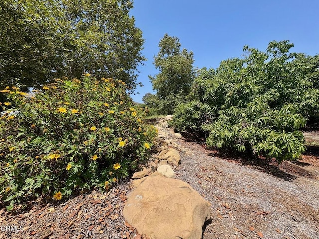 0 Hall Rd, Santa Paula, CA 93060 - photo 4