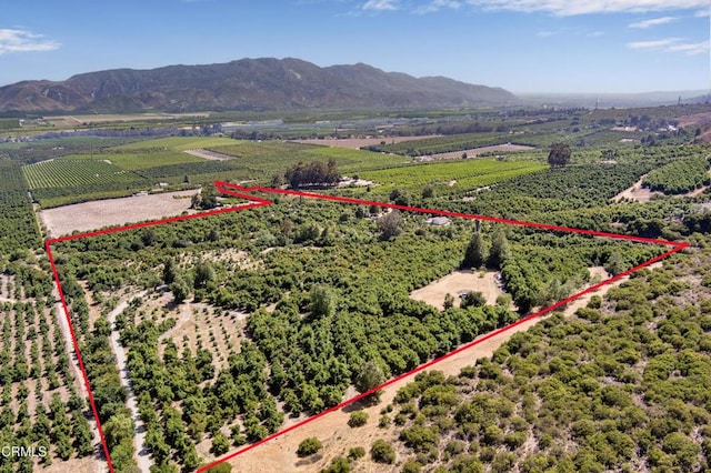 0 Hall Rd, Santa Paula, CA 93060 - photo 1