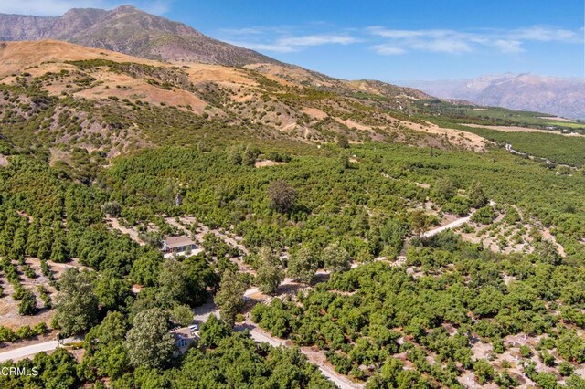 0 Hall Rd, Santa Paula, CA 93060 - photo 8