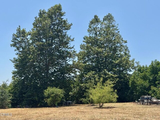 0 Hall Rd, Santa Paula, CA 93060 - photo 17