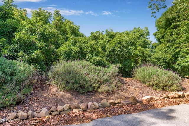 0 Hall Rd, Santa Paula, CA 93060 - photo 6