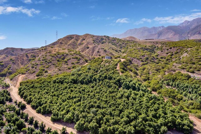 0 Hall Rd, Santa Paula, CA 93060 - photo 26