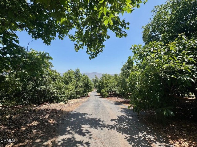 0 Hall Rd, Santa Paula, CA 93060 - photo 14
