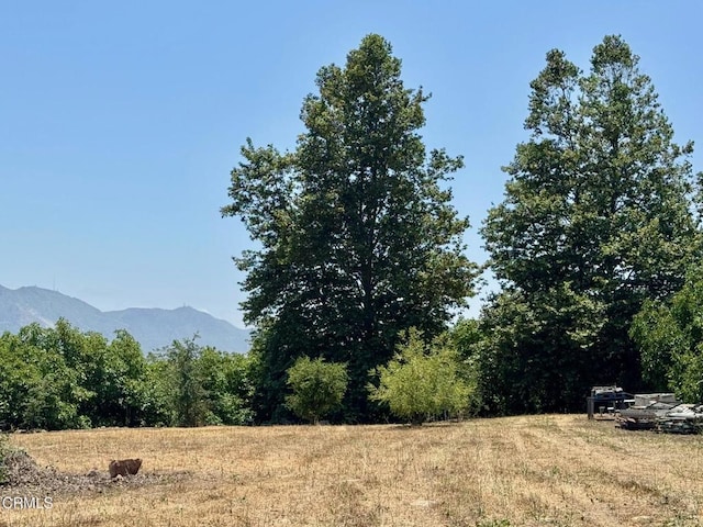 0 Hall Rd, Santa Paula, CA 93060 - photo 15