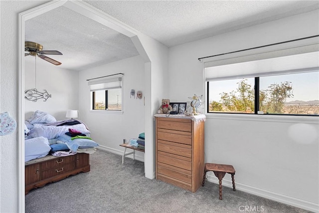 15761 Joshua Rd, Apple Valley, CA 92307 - bedroom featuring multiple windows, a textured ceiling, carpet flooring, and a ceiling fan