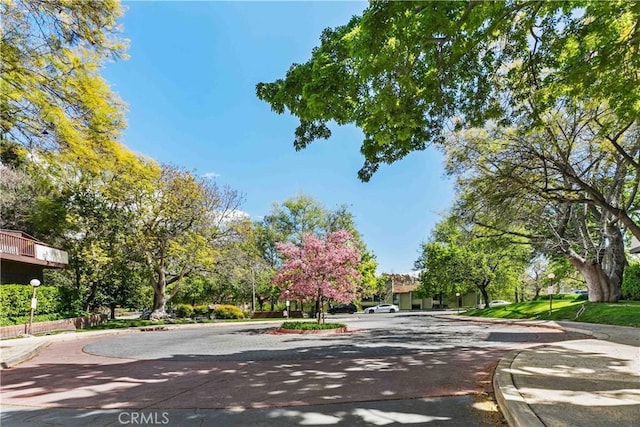 4210 Via Arbolada Unit 317, Los Angeles, CA 90042 - view of asphalt road with curbs, sidewalks, and street lighting