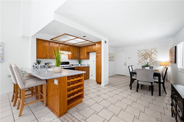 16 Snowberry, Rancho Santa Margarita, CA 92688 - photo 13