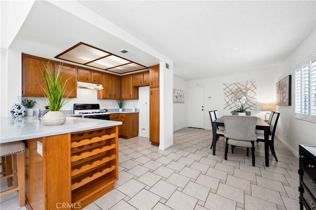 16 Snowberry, Rancho Santa Margarita, CA 92688 - photo 19