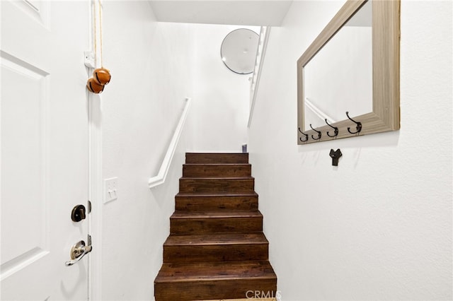 31809 Delfina Way, Winchester, CA 92596 - photo 25