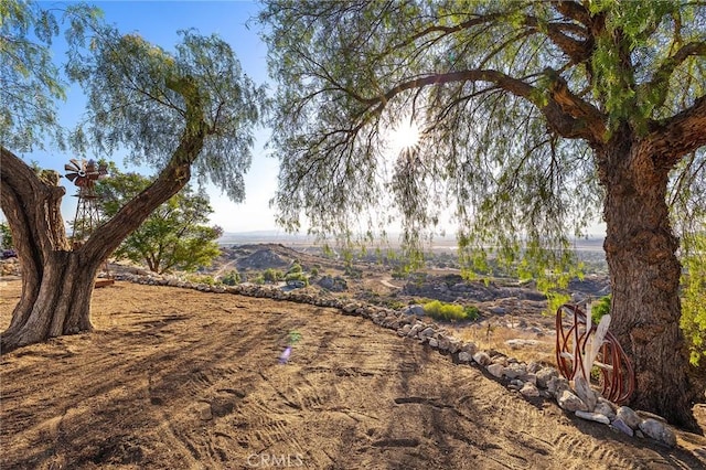 29740 Nogues Rd, Nuevo, CA 92567 - photo 6
