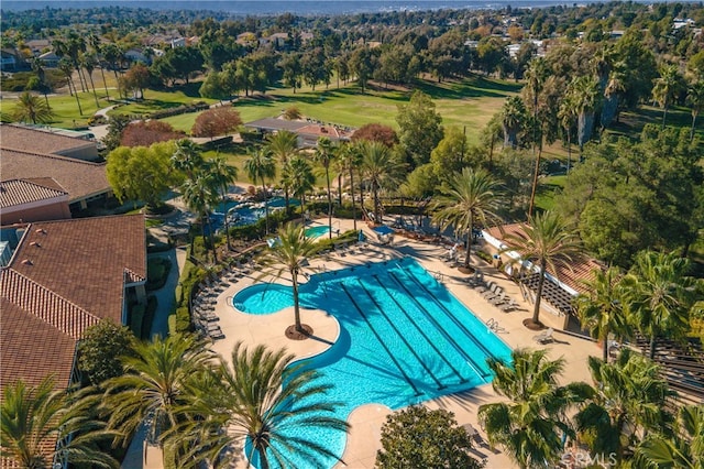 41808 Vardon Dr, Temecula, CA 92591 - community pool featuring view of wooded area
