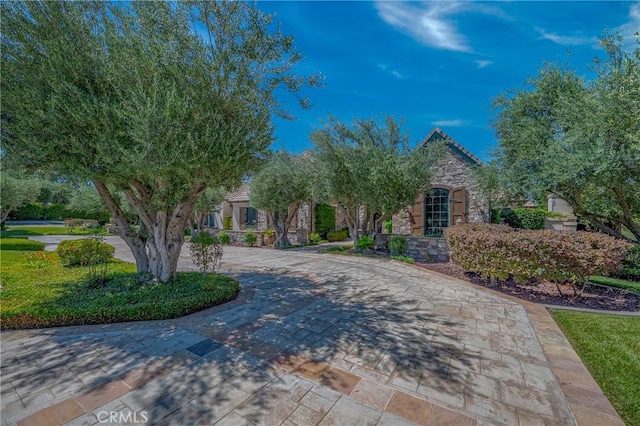 2882 Trovare Ct, Merced, CA 95340 - view of property hidden behind natural elements with stone siding and curved driveway