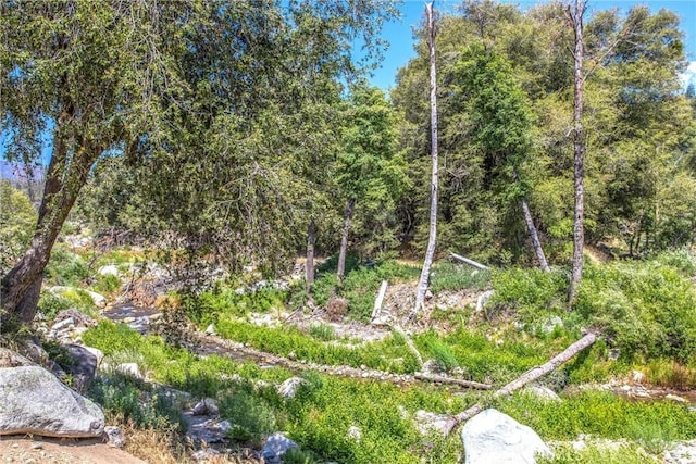 38948 7 Oaks Rd, Angelus Oaks, CA 92305 - photo 48