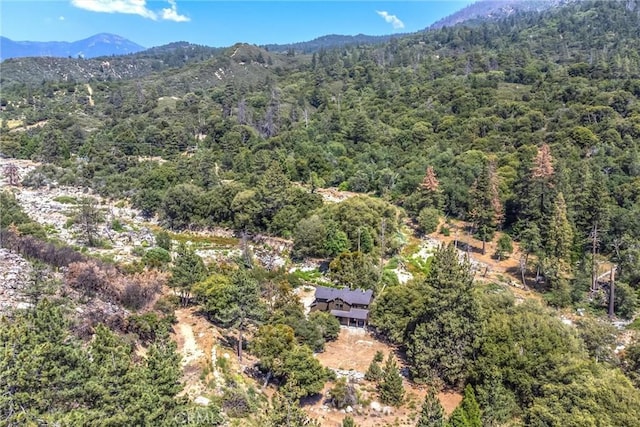 38948 7 Oaks Rd, Angelus Oaks, CA 92305 - photo 54