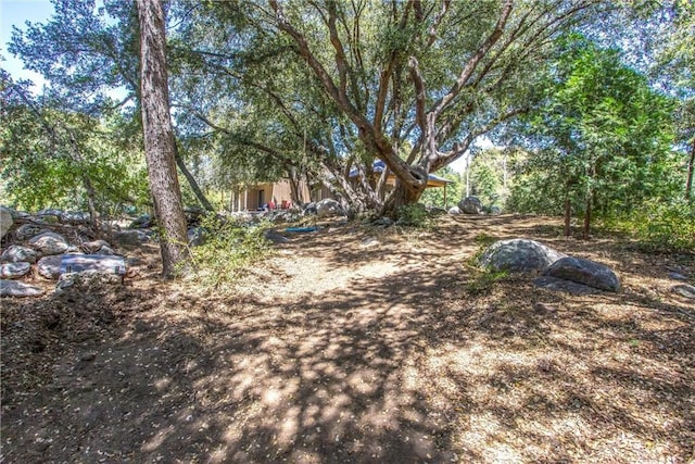 38948 7 Oaks Rd, Angelus Oaks, CA 92305 - photo 52