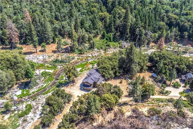 38948 7 Oaks Rd, Angelus Oaks, CA 92305 - photo 53