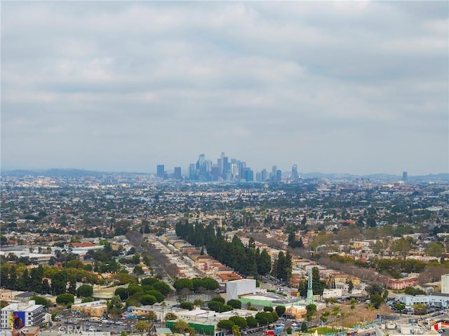 4510 S Mullen Ave, View Park, CA 90043 - view of urban area