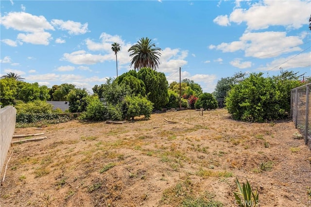 1210 W Marshall Blvd, San Bernardino, CA 92405 - view of yard
