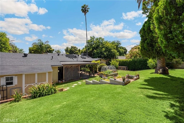 1210 W Marshall Blvd, San Bernardino, CA 92405 - view of green lawn with a garden and an outbuilding