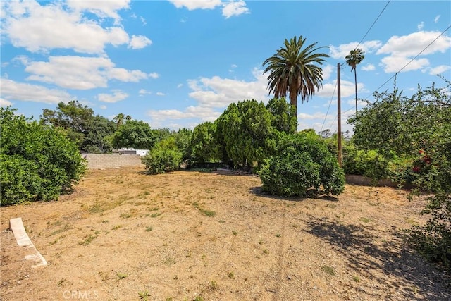 1210 W Marshall Blvd, San Bernardino, CA 92405 - view of nature