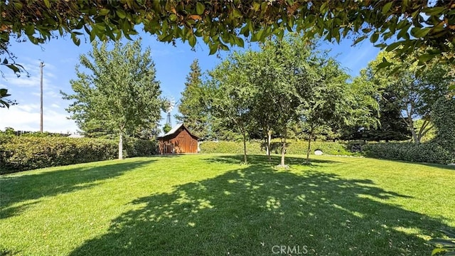 4742 Crow Rd, Oakdale, CA 95361 - view of green lawn with a barn and an outdoor structure