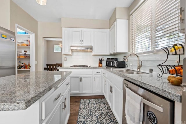2435 Bear Rock, Escondido, CA 92026 - kitchen featuring stainless steel dishwasher, under cabinet range hood, tasteful backsplash, and white cabinetry