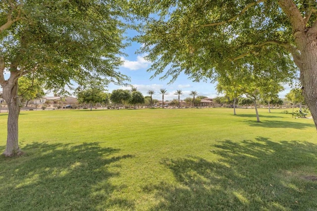 67497 Rio Rosalia Rd, Cathedral City, CA 92234 - photo 43